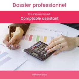 Dossier Professionnel Comptable assistant