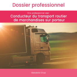 Dossier Professionnel Conducteur du transport routier de marchandises sur porteur