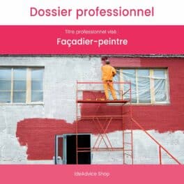 Dossier Professionnel Façadier-peintre