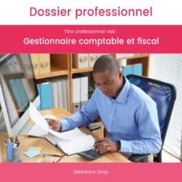 Dossier Professionnel Gestionnaire comptable et fiscal