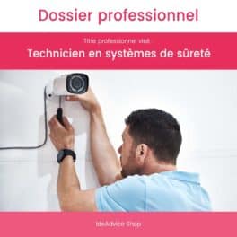 Dossier Professionnel Technicien en systèmes de sûreté