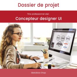 Dossier de projet Concepteur designer UI